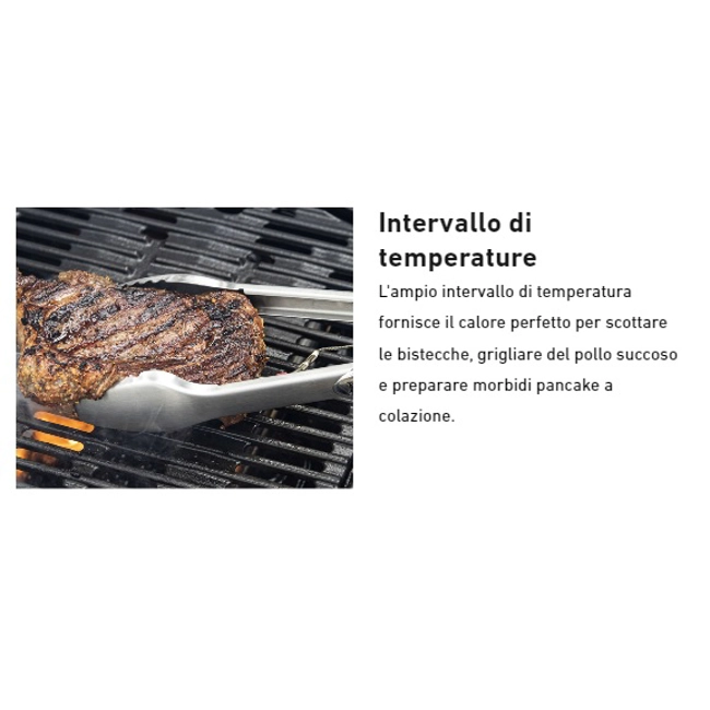 Vendita online Barbecue Traveler Black a gas